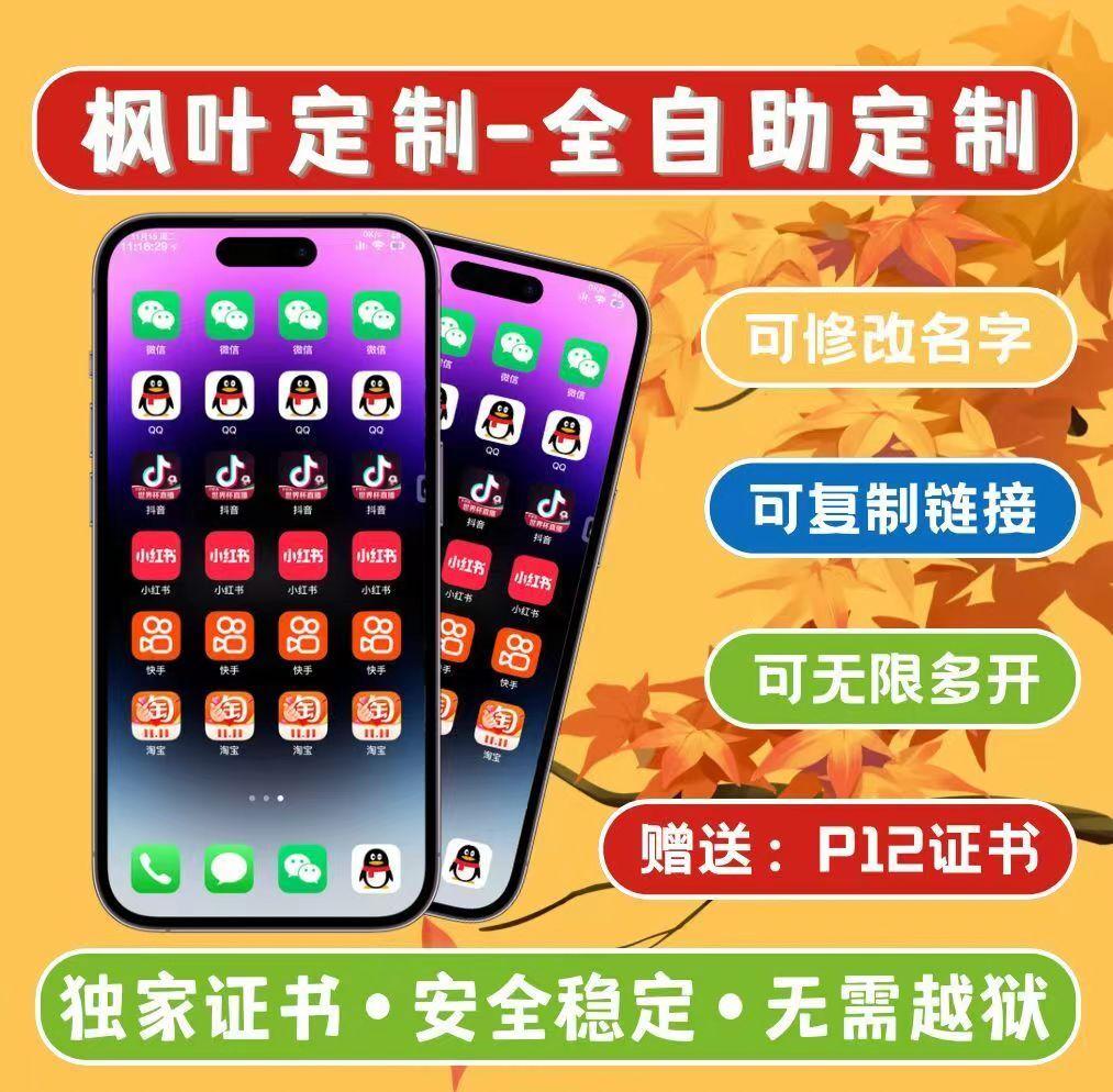 枫叶制官网-激活码购买以及下载-180天售后-UDID定制